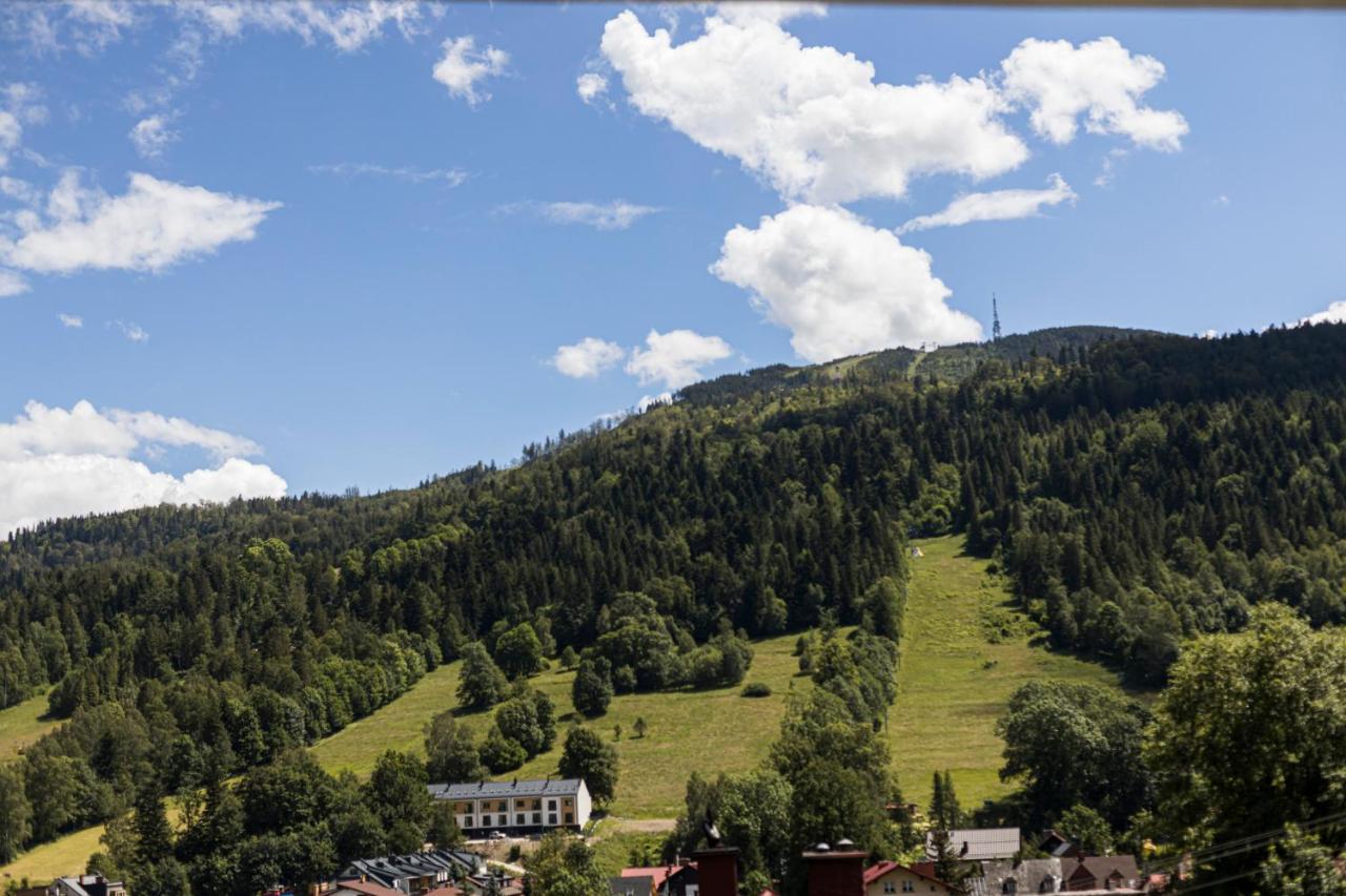 Mountain View 1